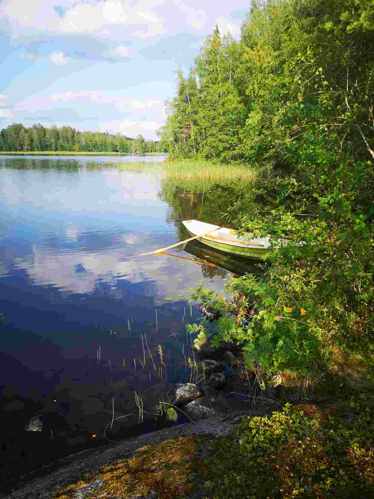 Erkinniemi mit Ruderboot